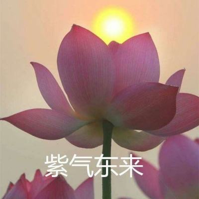 帝国冲突完整版下载